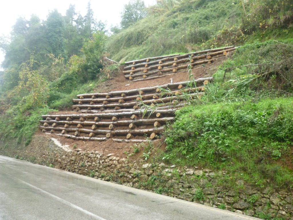 Stabilità dei Versanti